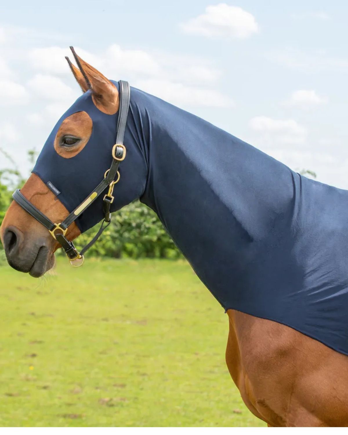 Hy Equestrian Lycra Flex Hood for Horses | Equiflair: Clean, Warm & Prevents Rug Rubs
