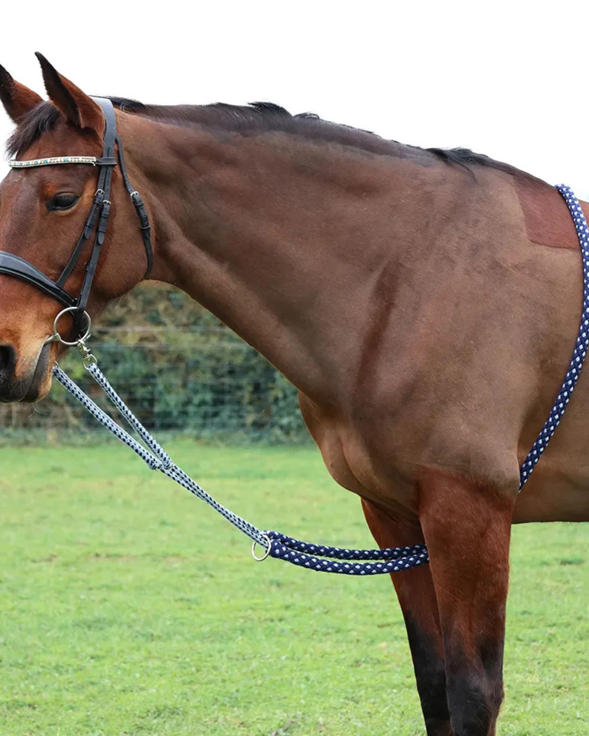 Hy Equestrian Lunging Aid - Navy/Grey - Horse location-31143526467-outofstock