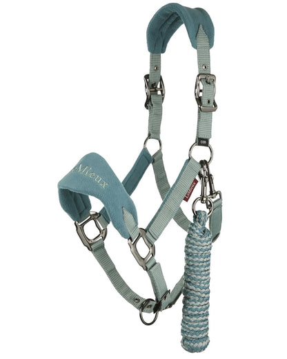 LeMieux Vogue Headcollar & Leadrope Sage