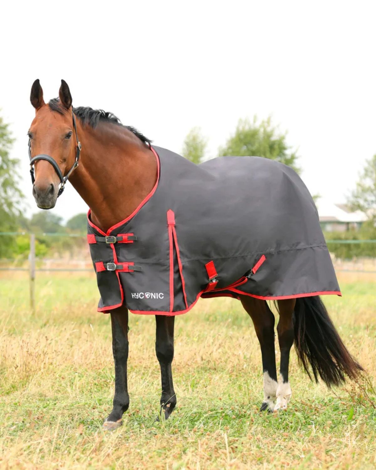 HyCONIC 0g Turnout Rug Charcoal/Red