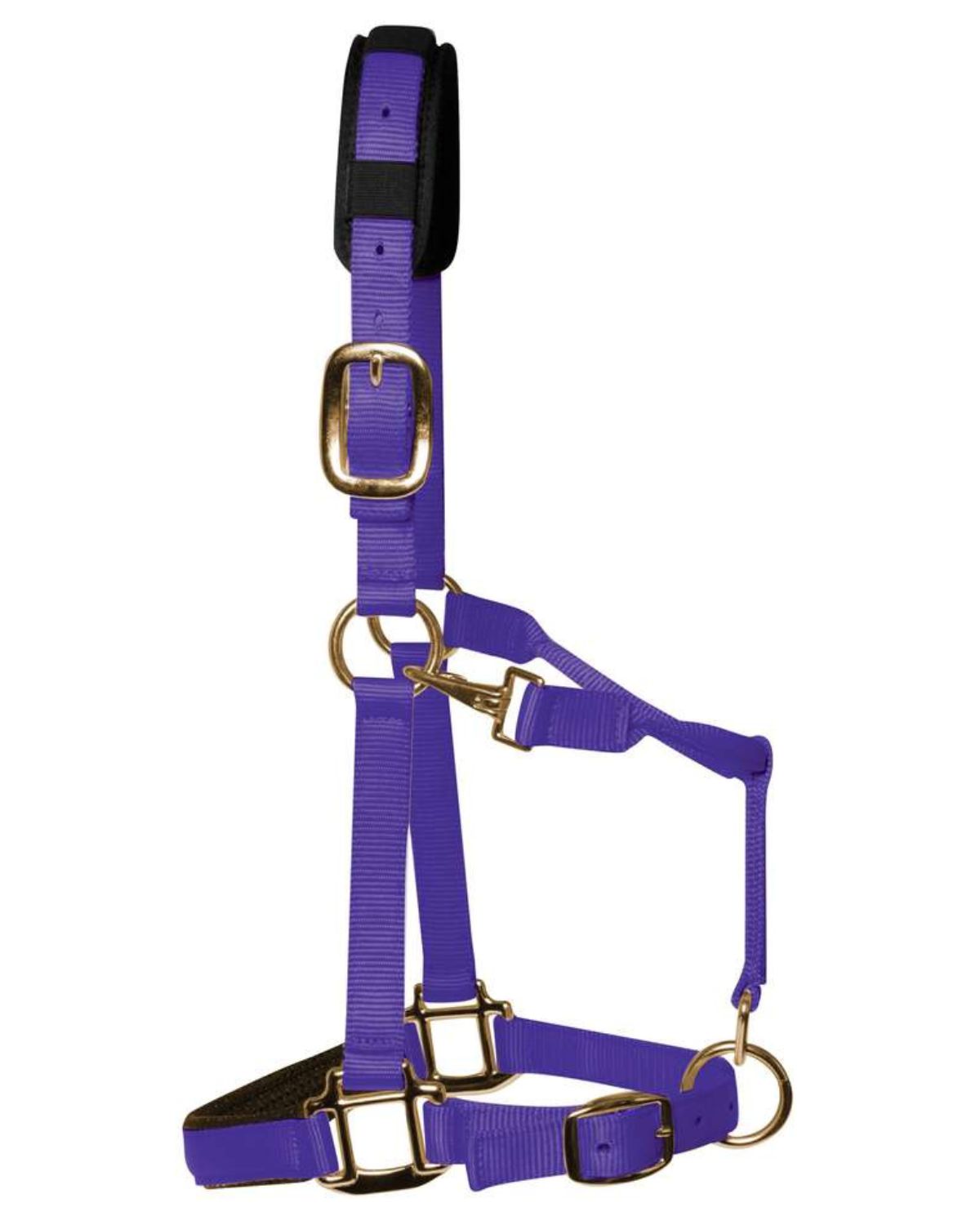 KM Elite Padded Headcollar Purple