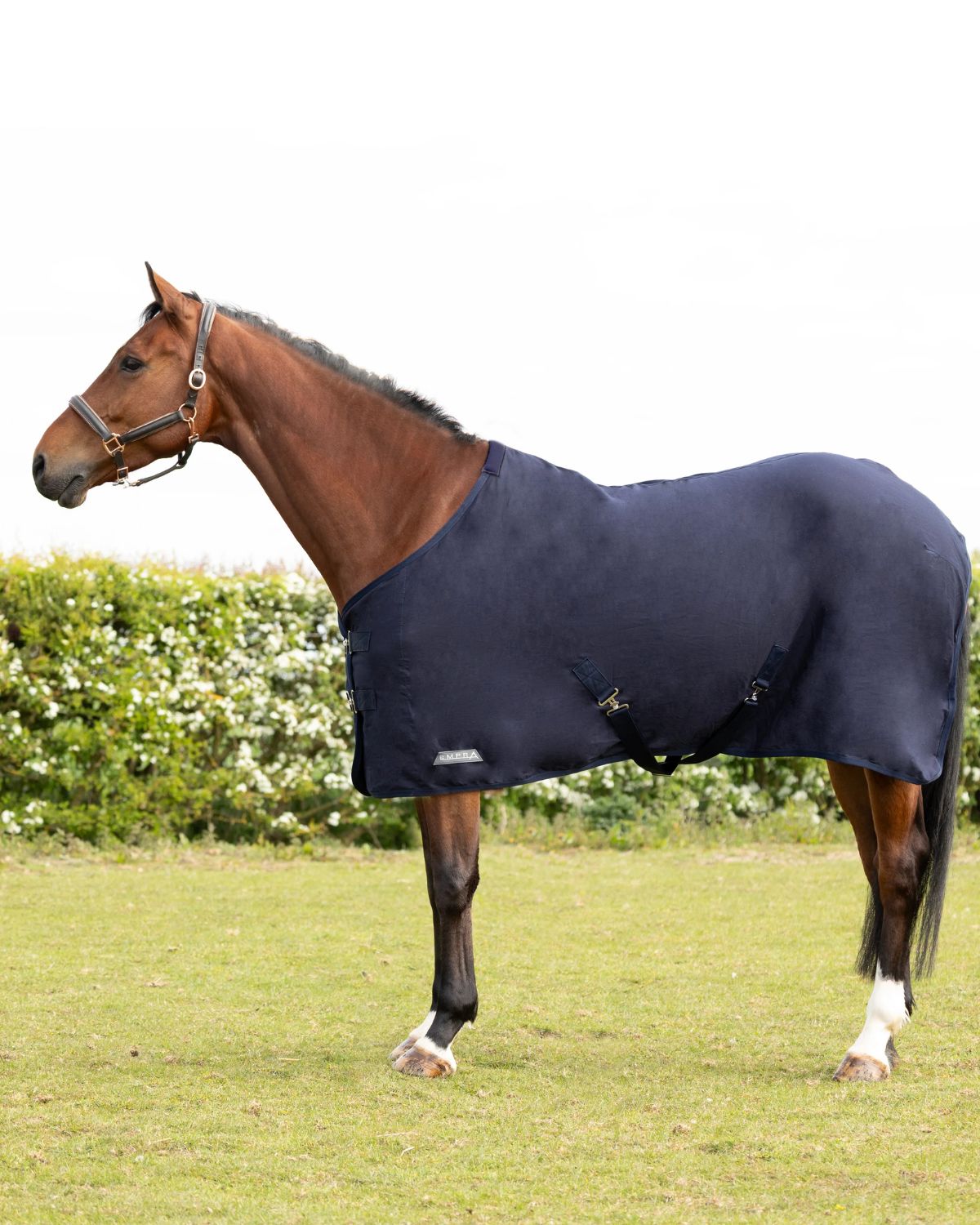 StormX Empra Pima Cotton Sheet - Navy