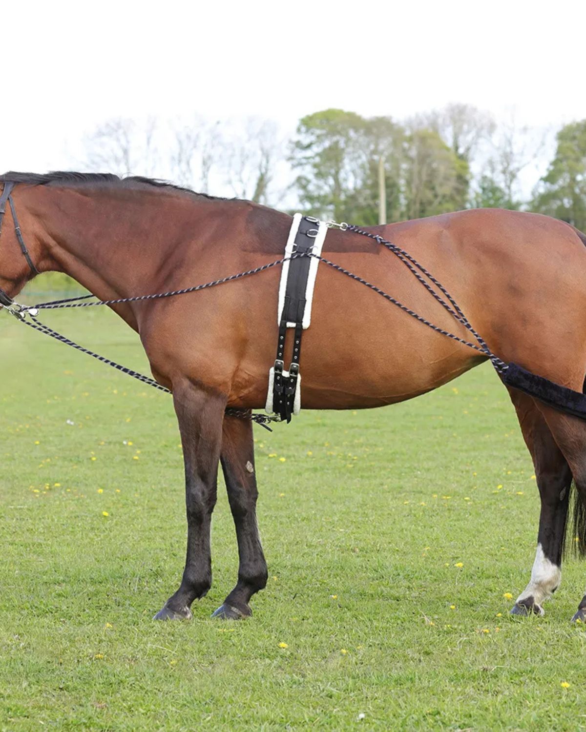 Hy Equestrian Lunging System Navy/Grey - Horse location-31143526467-outofstock