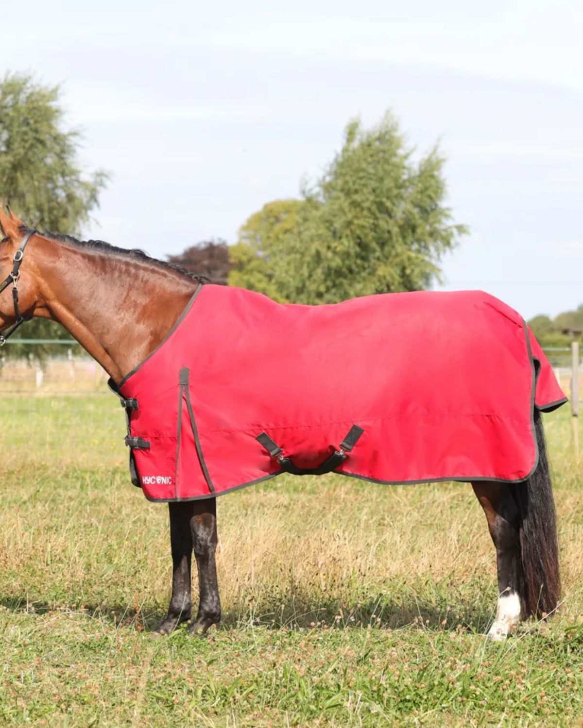 HYCONIC 100G Red Turnout Rug - Waterproof 600D Horse Blanket | Equiflair