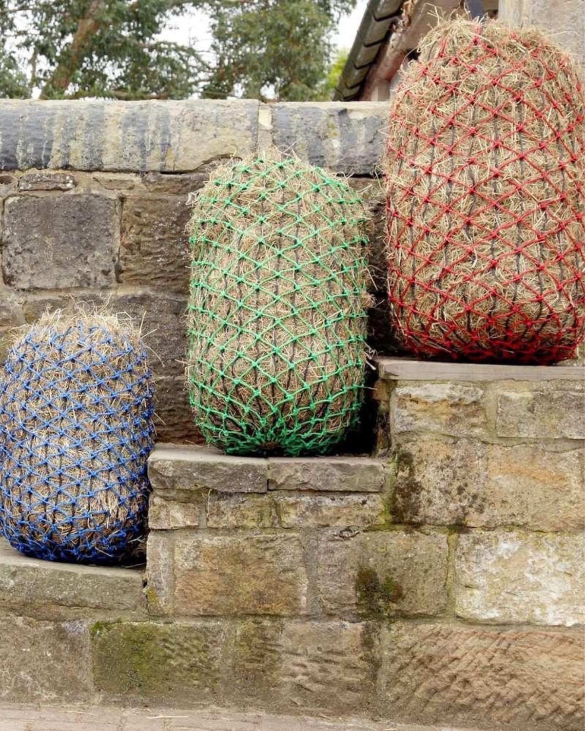 Hay Nets for Horses: Slow Feeders in Blue, Green, and Red on Stone Wall
