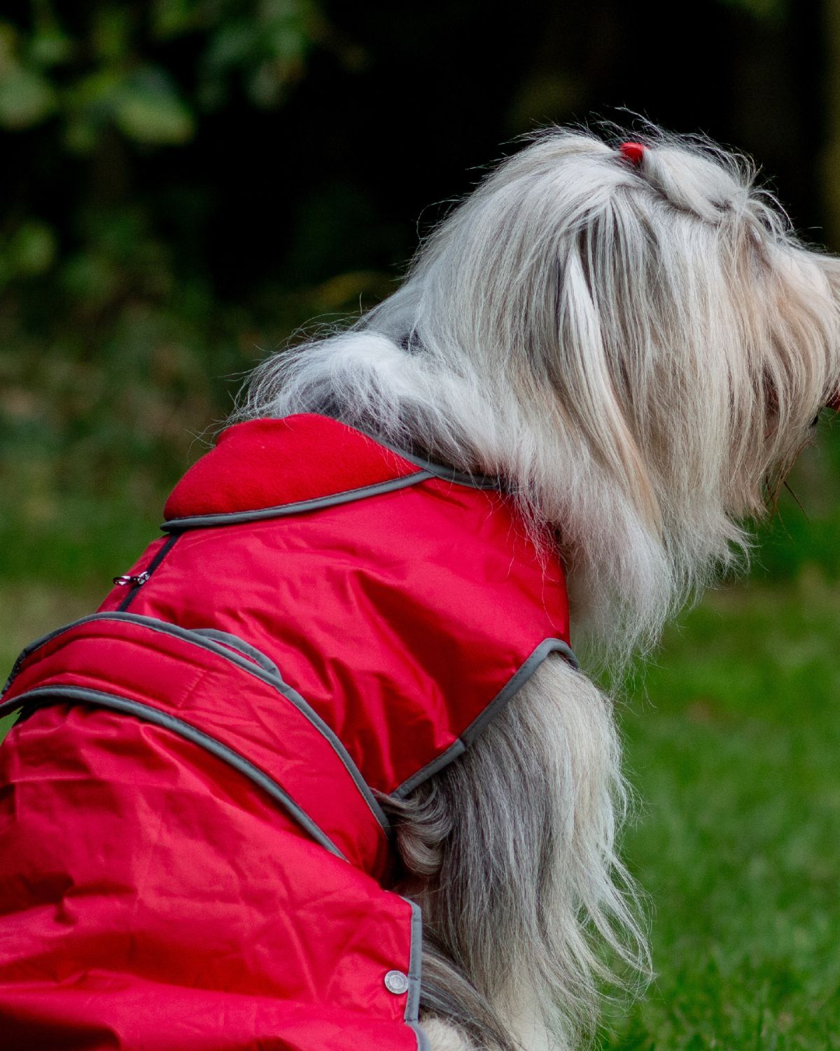 Ancol Stormguard Dog Coat Red
