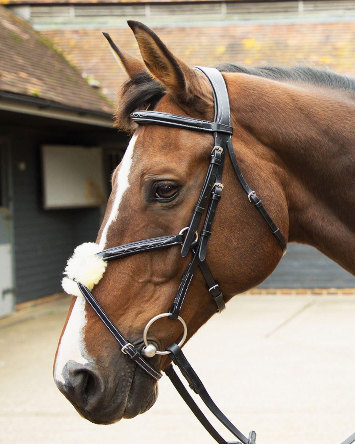 KM Elite Leather Grackle Bridle Black