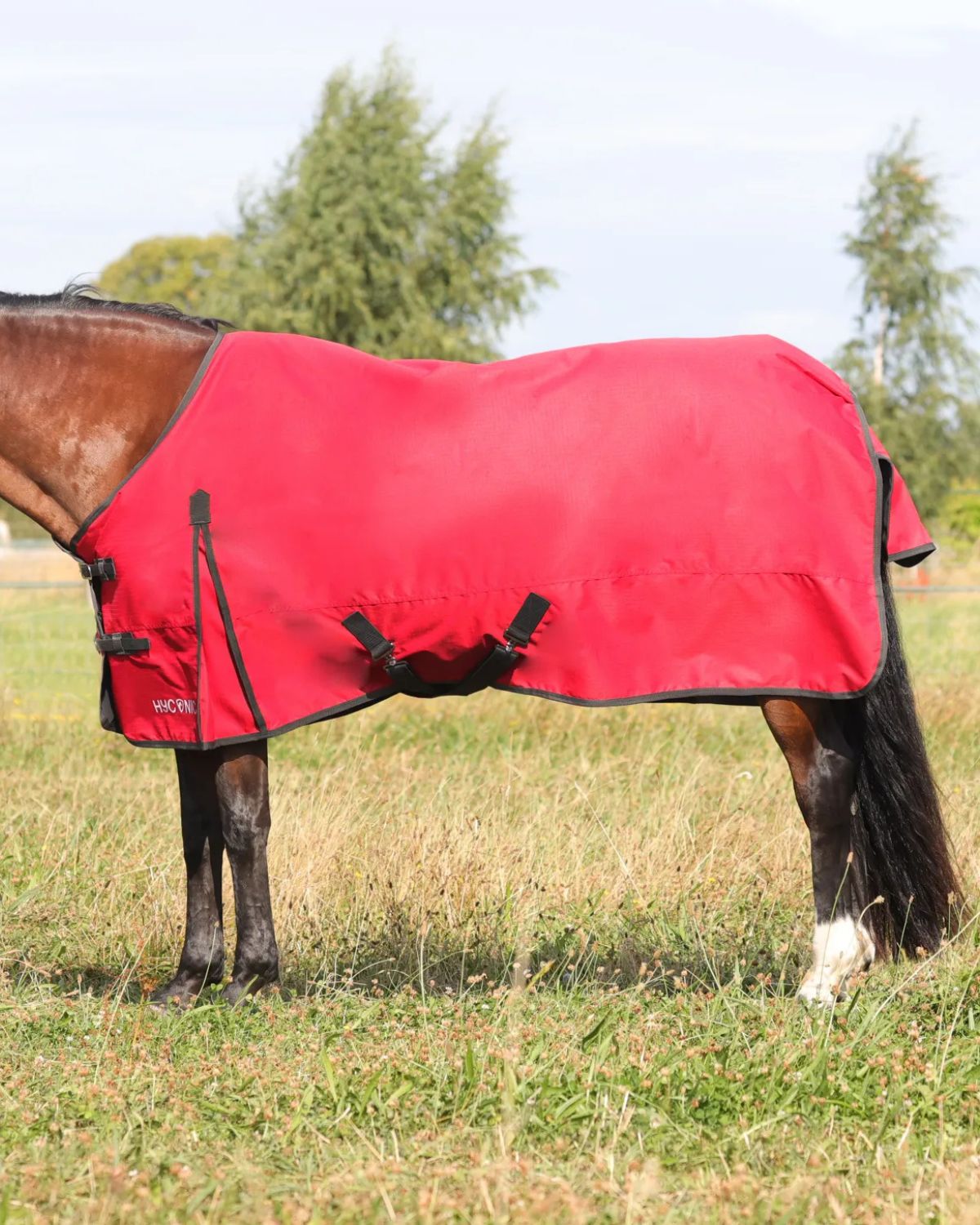 HyCONIC 50g Lightweight Red Turnout Rug - Waterproof Horse Blanket