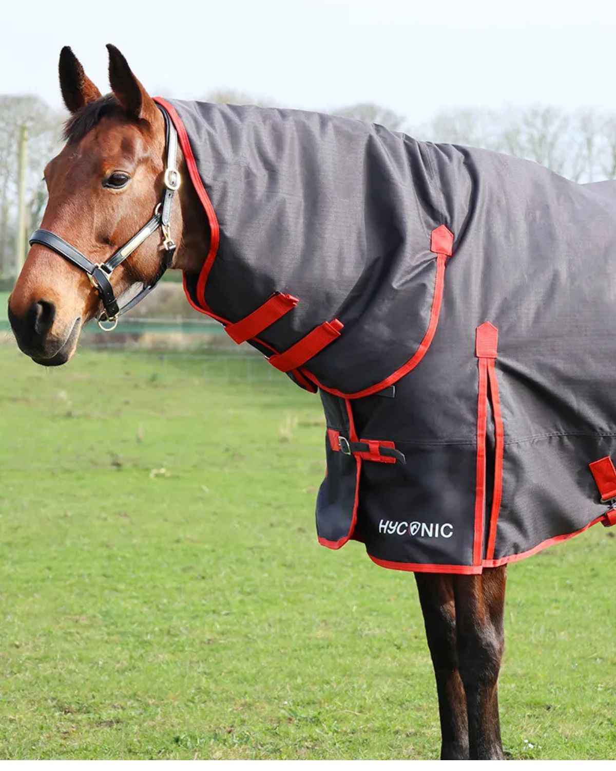 HyCONIC 200G Combi Turnout Rug - Charcoal/Red, Waterproof 600D Horse Rug with Integrated Neck Cover