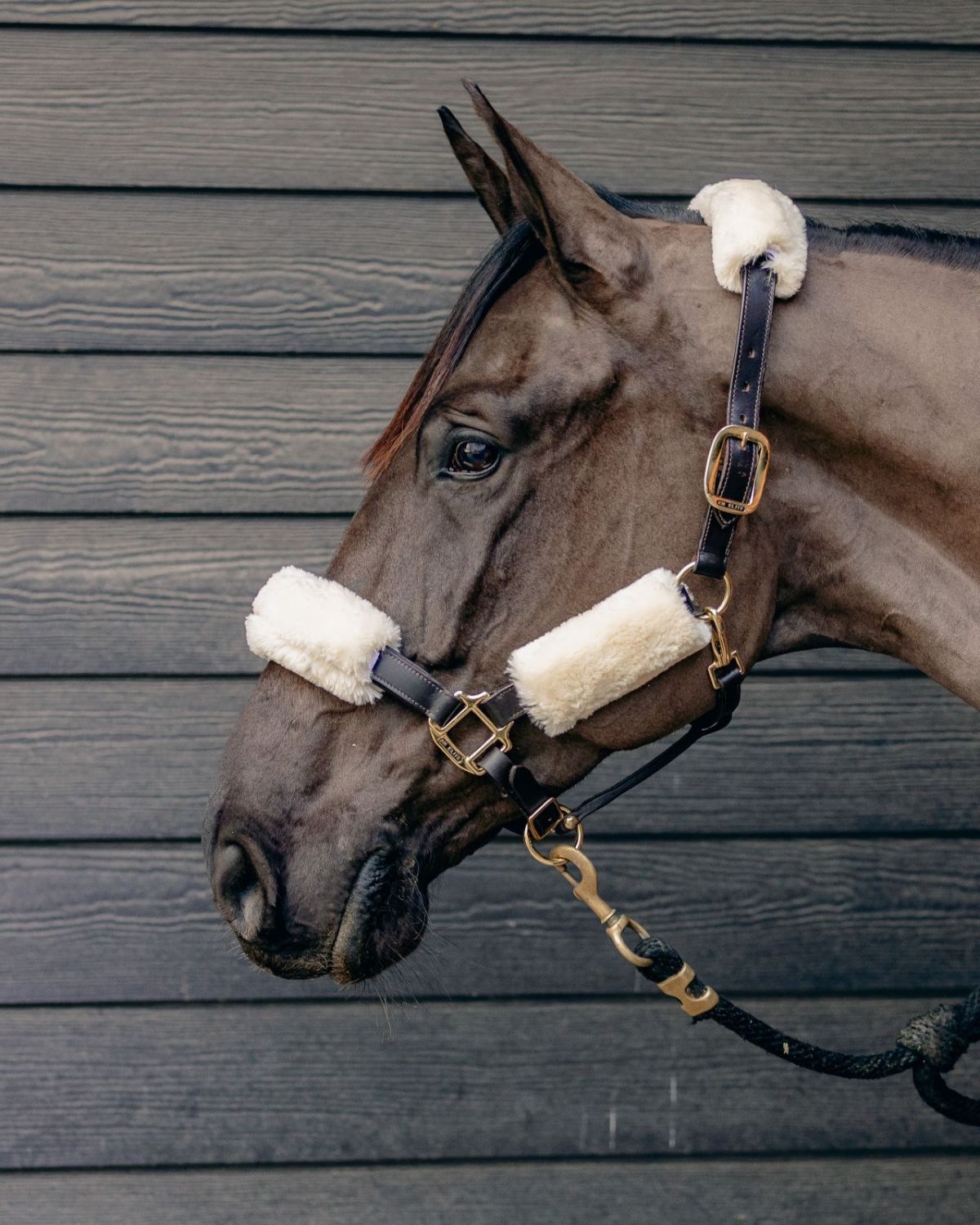 KM Elite Teddy Soft Headstall Set Natural
