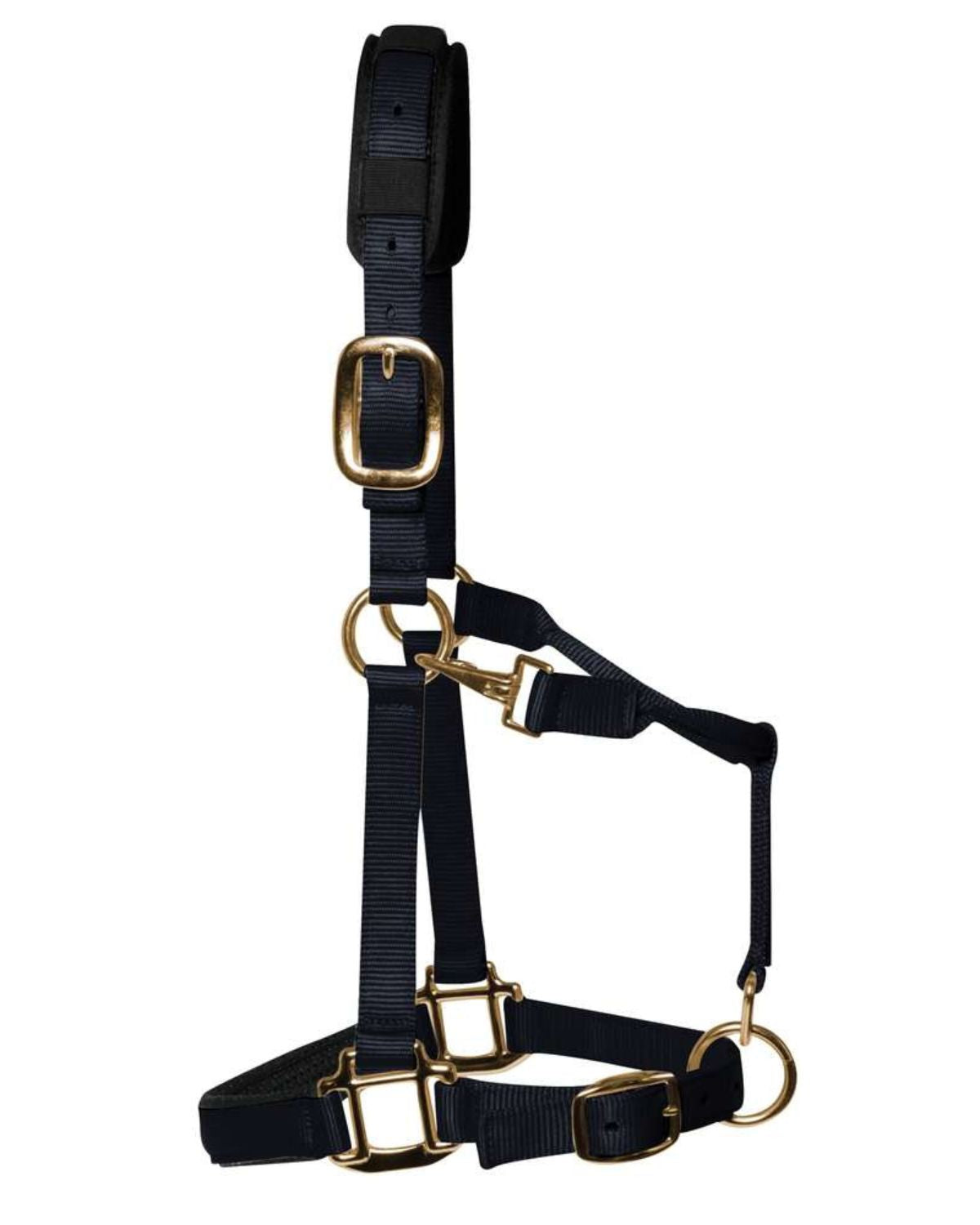 KM Elite Padded Headcollar Black