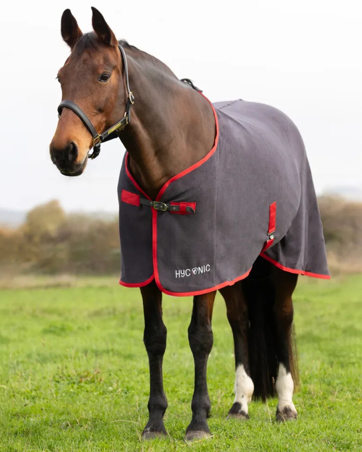 HYCONIC Fleece Rug Charcoal/Red | Horse Rug for Travel & Exercise | Equiflair