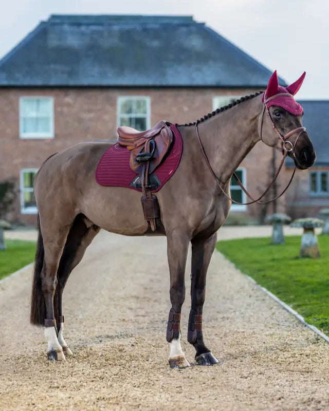 LeMieux Burgundy Soft Shell Anti-Slip Eurojump Saddle Pad on Horse | Equiflair Equestrian Gear