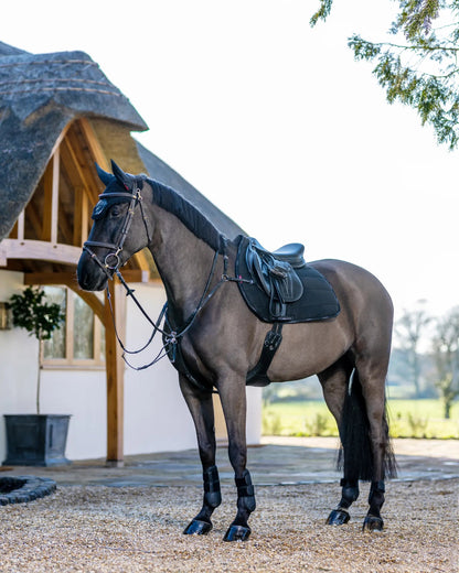 LeMieux GP Work Pad Black on a Horse | Equestrian Saddle Pad | Equiflair