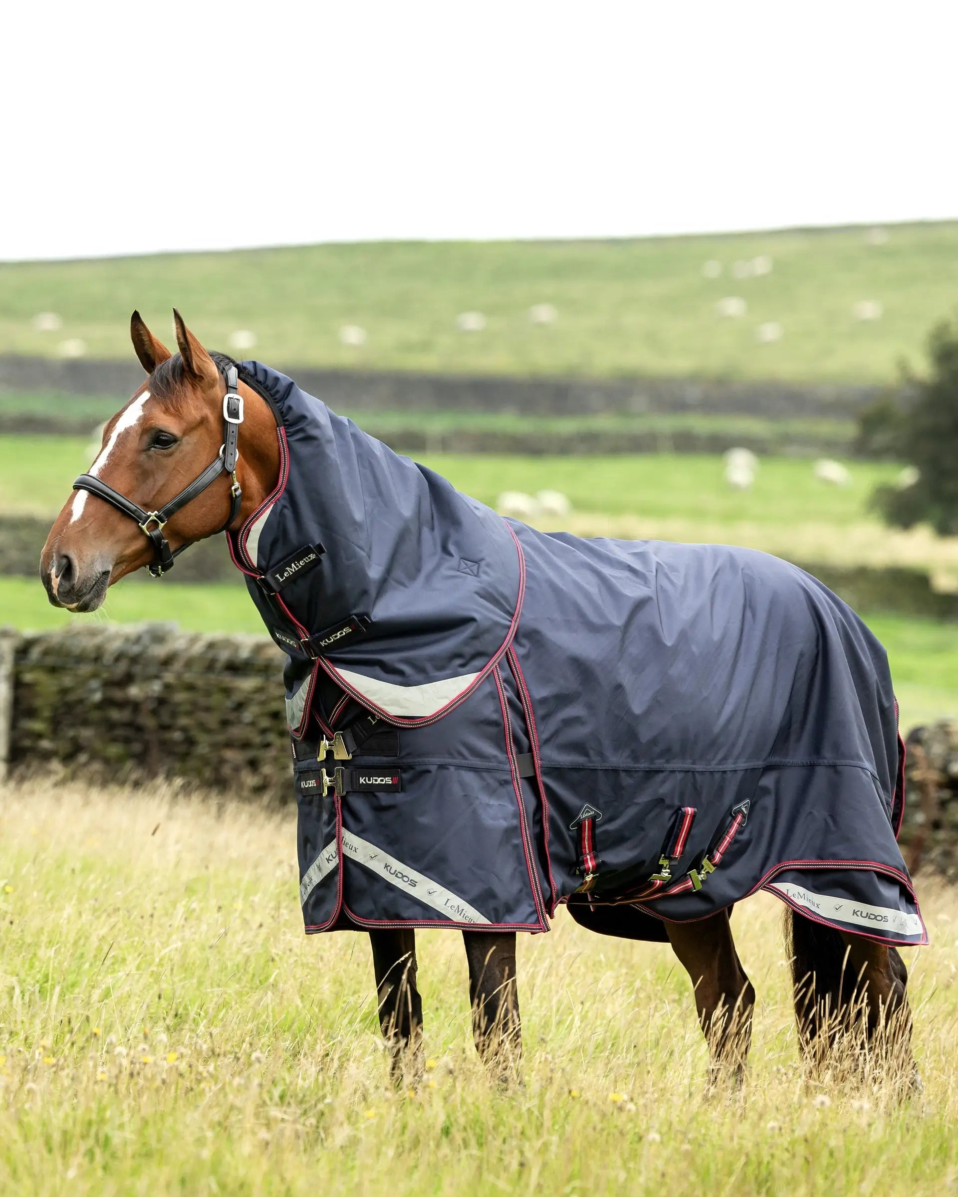 LEMIEUX Kudos Thermo 300g Horse Turnout Rug Navy - Waterproof, Insulated, Equine Comfort & Protection