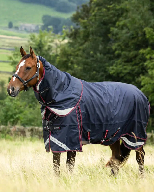 LeMieux Kudos Thermo Turnout Rug 300g Navy: Horse in Waterproof Blanket at Equiflair