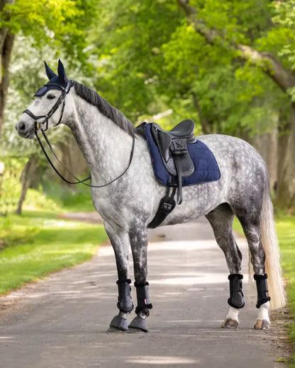 LeMieux Dressage Work Pad Navy