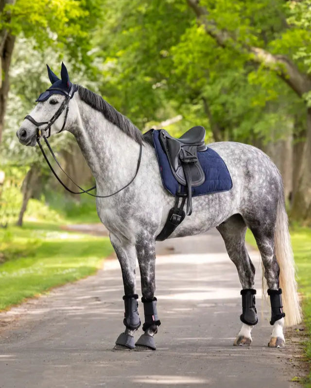 LeMieux Dressage Work Pad Navy