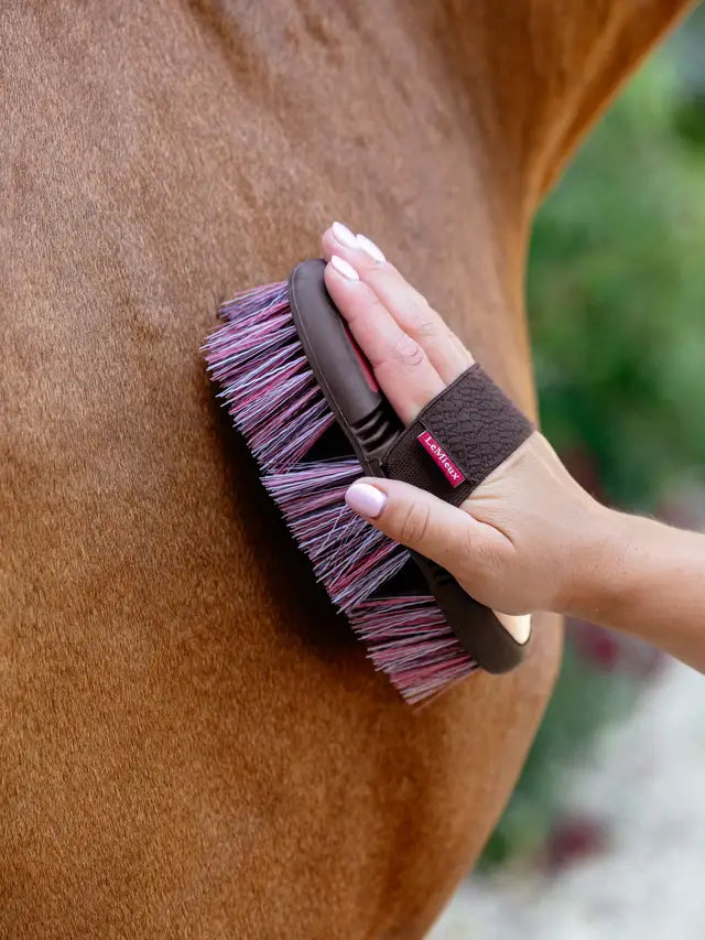 LEMIEUX CRANBERRY Flexi Flicky Horse Grooming Brush at Equiflair - Clean Coat!