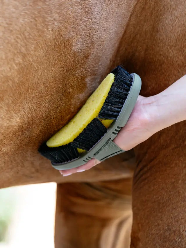 LeMieux Flexi Sponge Brush Lilac for Horse Grooming. Two in one brush: Sponge and bristles.