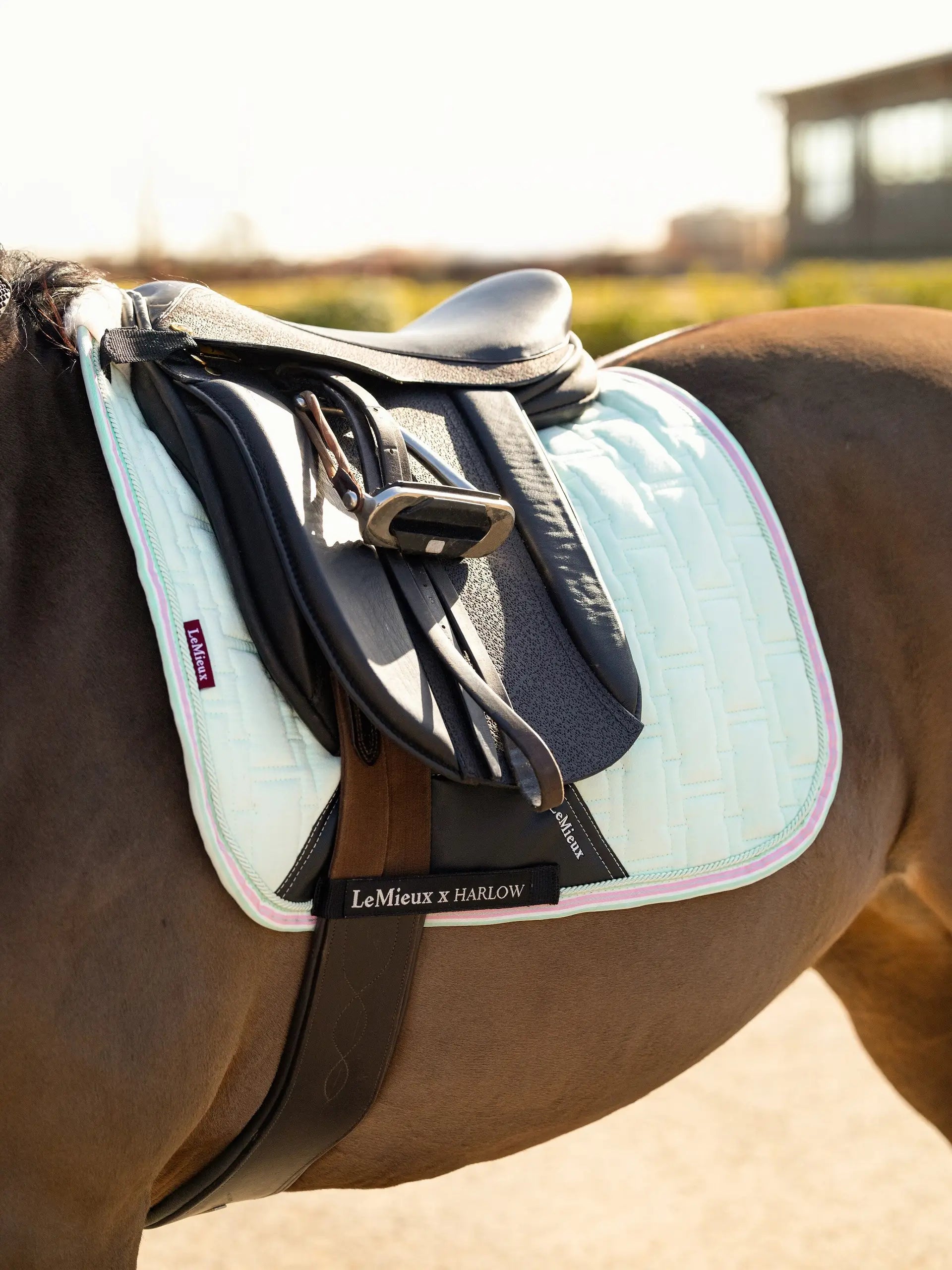 LeMieux x Harlow Soft Mint Dressage Saddle Pad - Equestrian Horse Tack