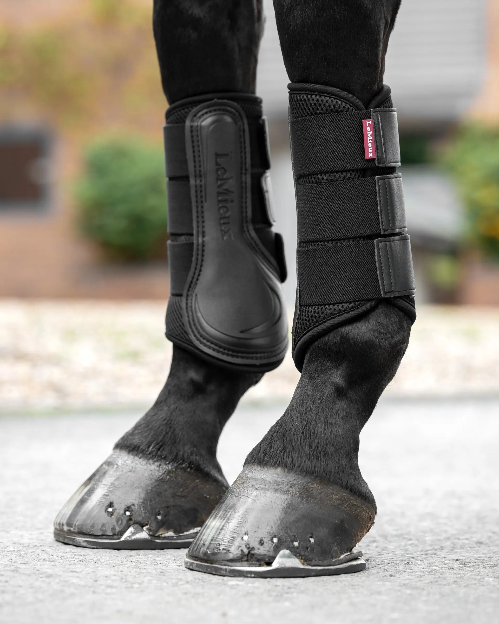 LEMIEUX Mesh Brushing Boots - Black Horse Leg Protection | Schooling & Competition - Equiflair Saddlery