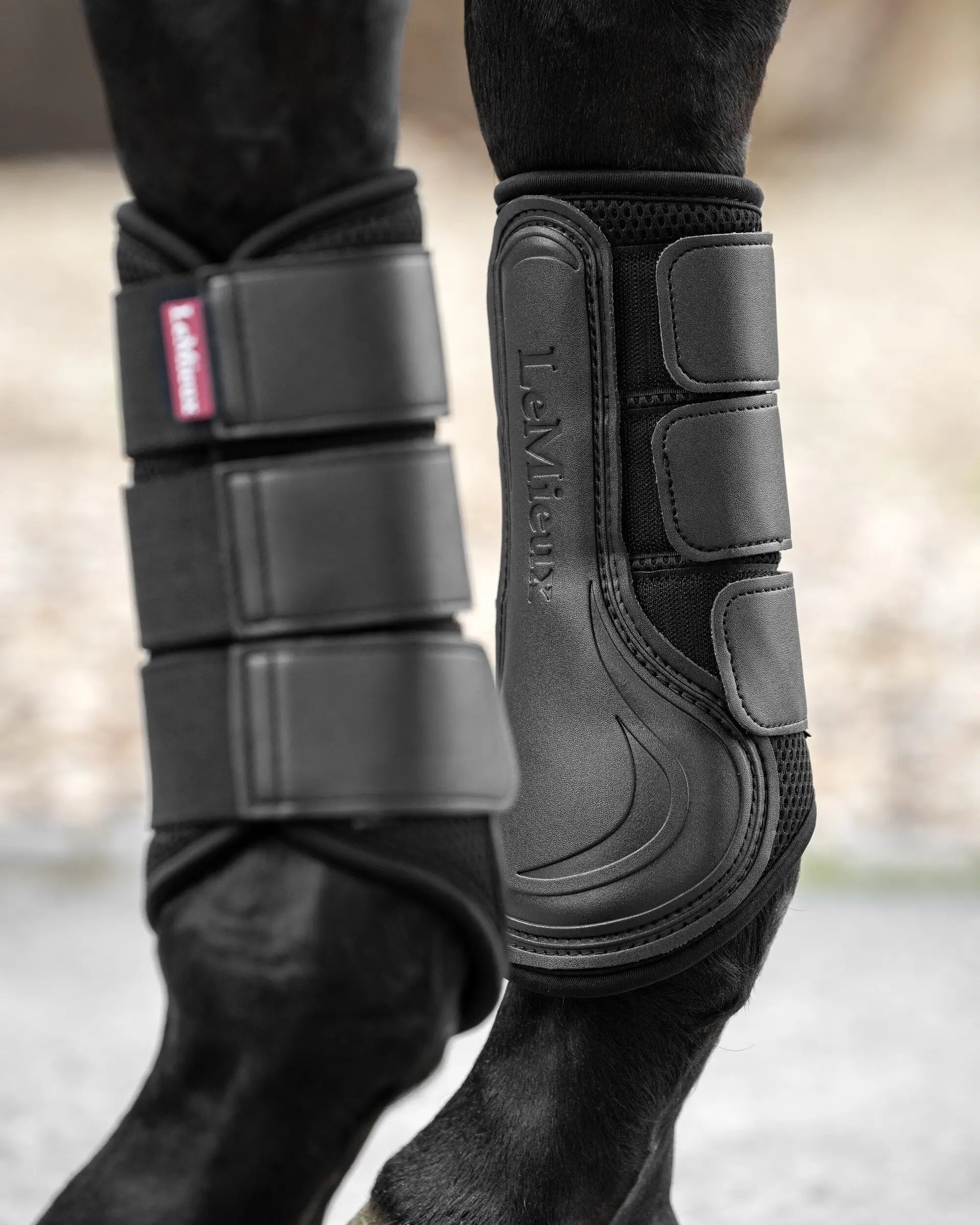 LEMIEUX MESH BRUSHING BOOT BLACK for Horses | Equiflair Saddlery: Breathable, Lightweight Protection for Schooling and Competition