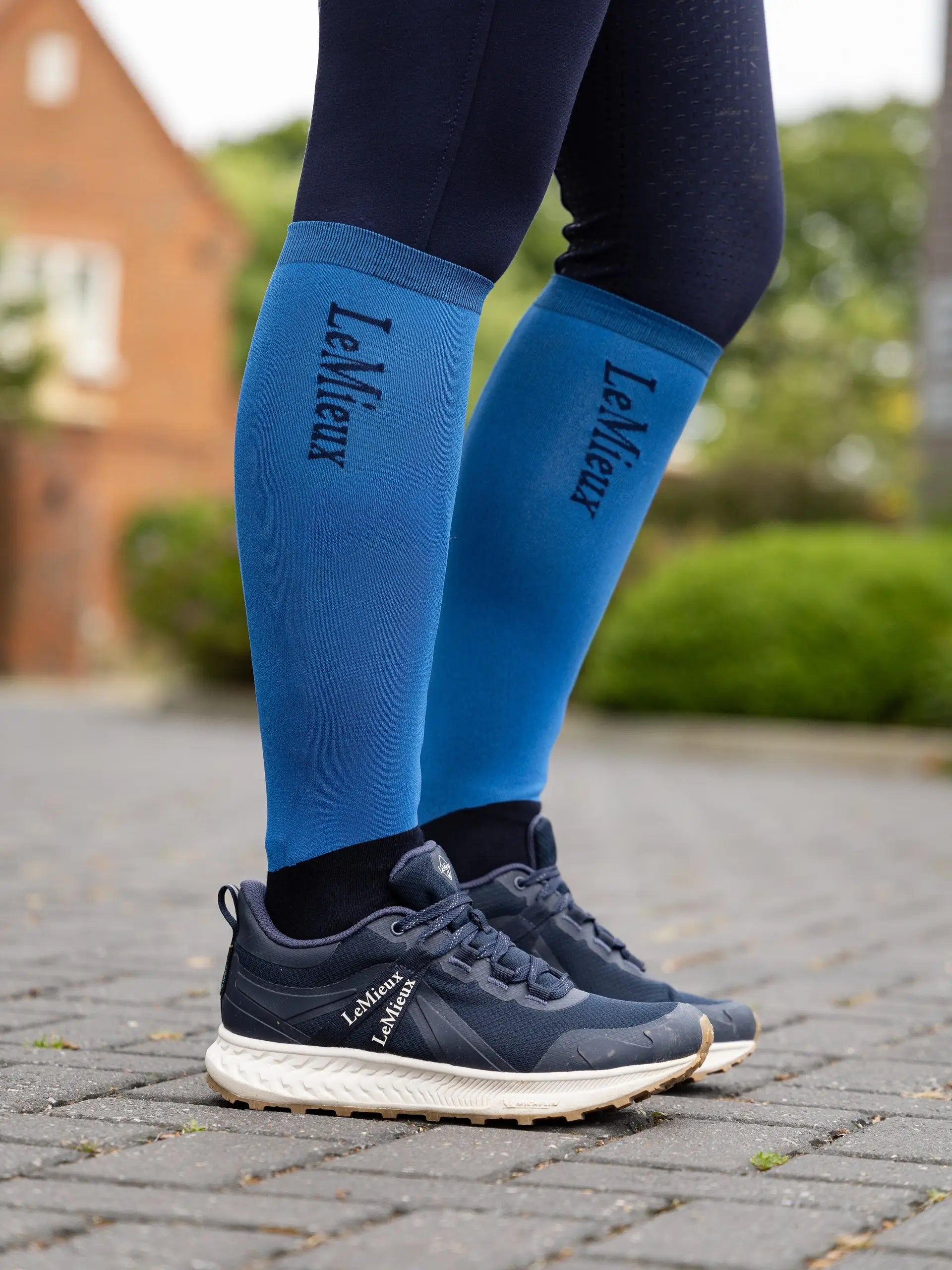 LeMieux Competition Socks 2 pack Benetton Blue