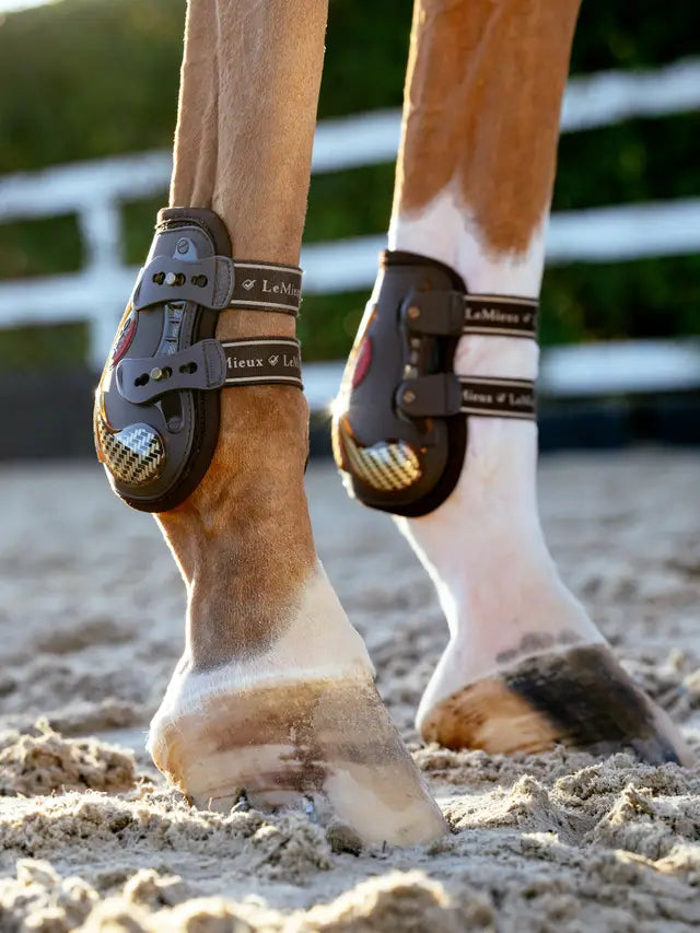 LeMieux Exo-Flex Ankle Spare Strap Set Brown