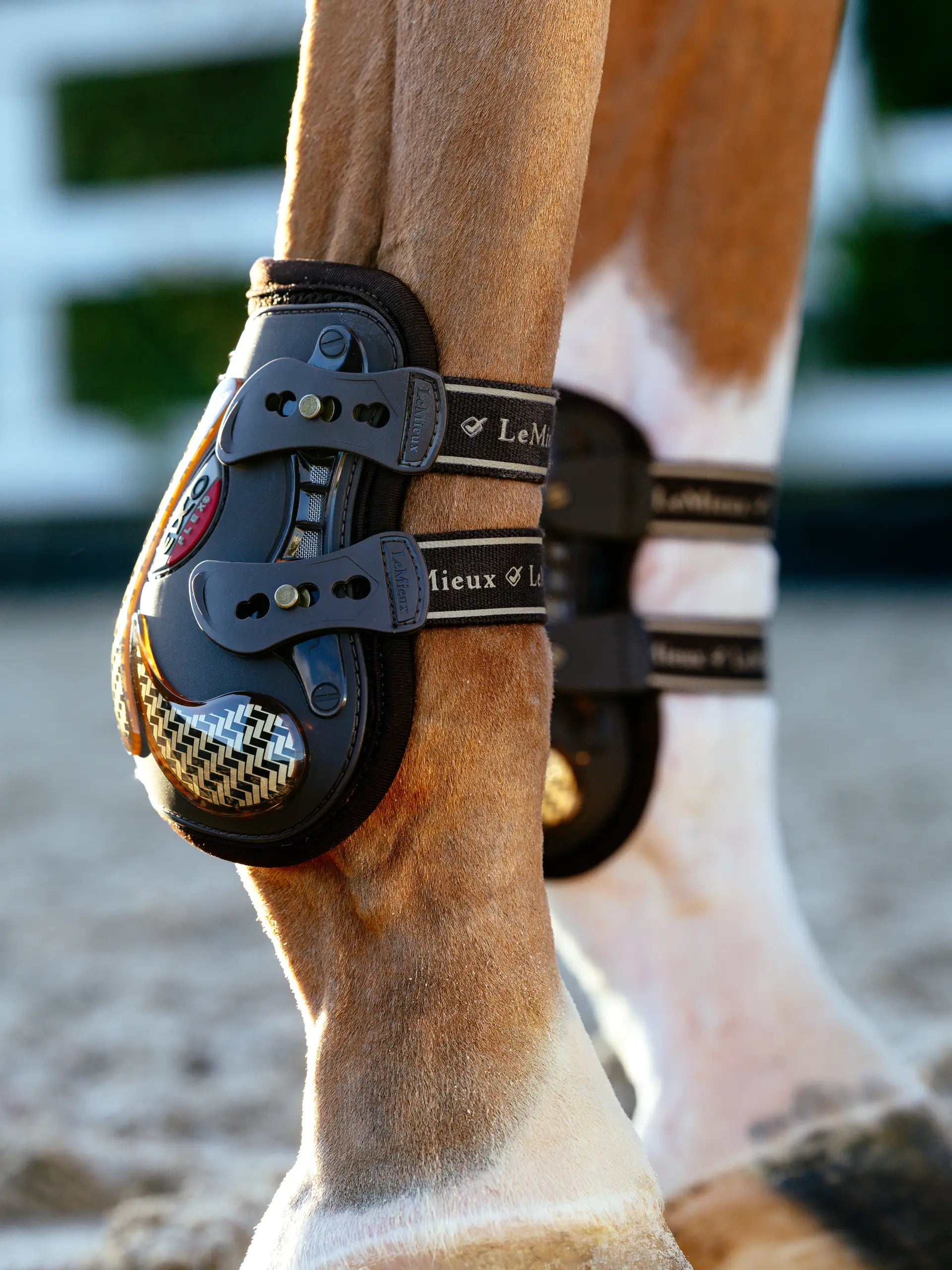 LeMieux Exo-Flex Ankle Spare Strap Set Black