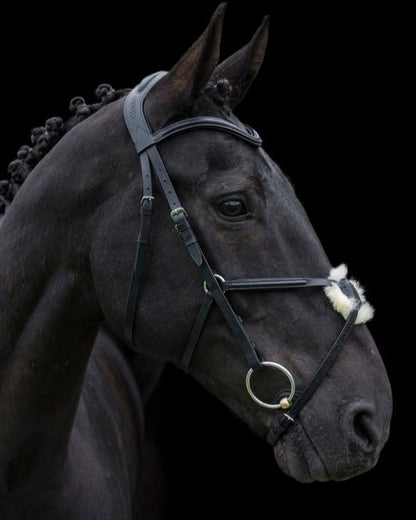 CAMEO Anatomic Grackle Bridle Black - Horse Bridle Comfort, Facial Nerve Protection, Improved Control, Black Leather Equestrian Tack
