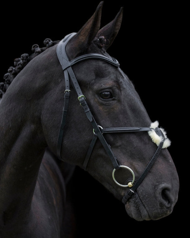 CAMEO Anatomic Grackle Bridle Black - Horse Bridle Comfort, Facial Nerve Protection, Improved Control, Black Leather Equestrian Tack