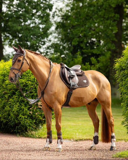 Elegant Palomino Horse with LeMieux Puissance Suede Close Contact Square Brown Saddle Pad. Equiflair.