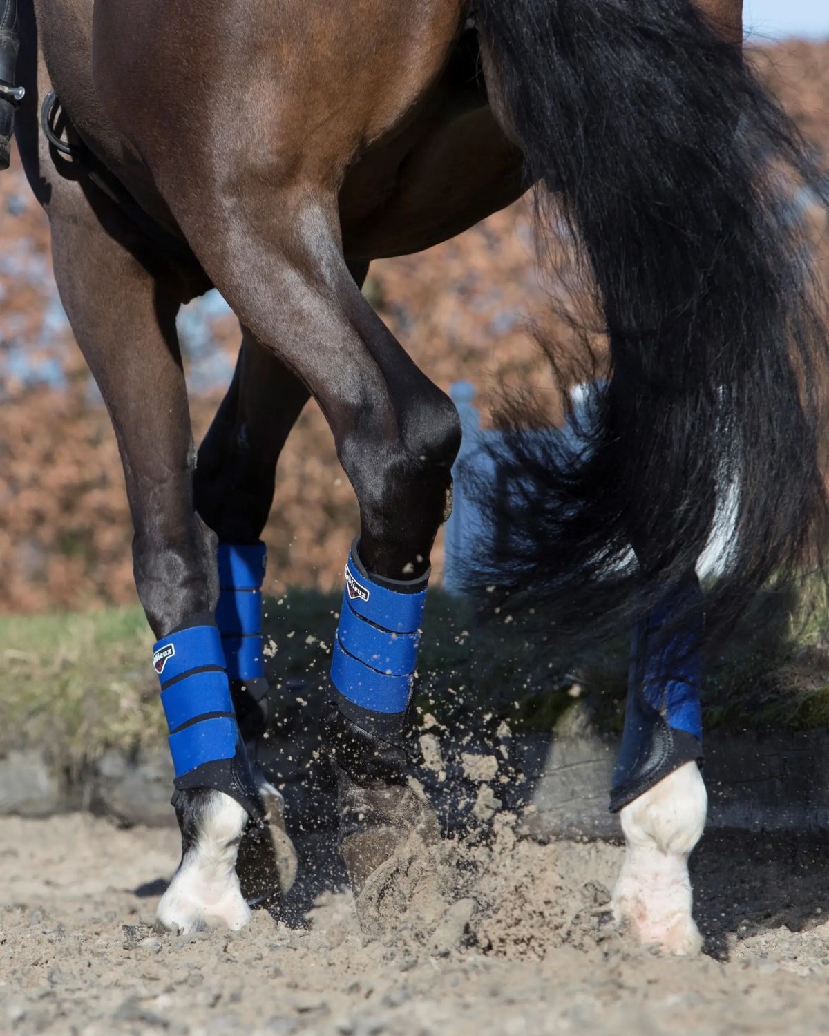 LEMIEUX GRAFTER BRUSHING BOOT BENETTON BLUE - Horse Boots Leg Protection Equestrian Gear