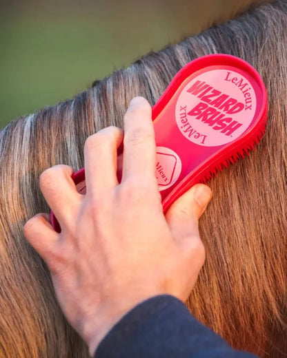Brushing horse with LeMieux Wizard Brush. Equiflair horse grooming product.