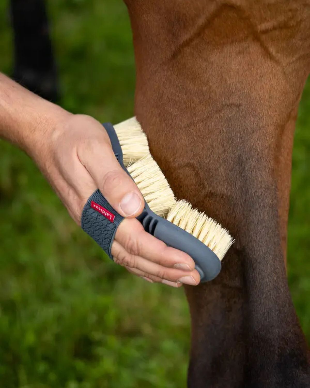 LeMieux Flexi Scrubbing Brush (Petrol) for Horse Grooming - Durable and Effective Cleaning Tool for Horses