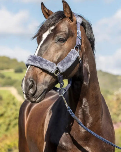 LeMieux Comfort Headcollar Navy