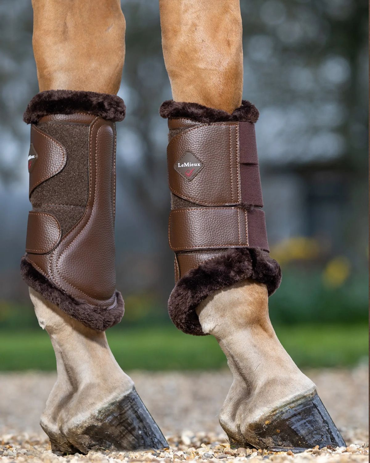 LEMIEUX Fleece Lined Brushing Boots Brown - Horse Leg Protection Equiflair Saddlery. Shop now!