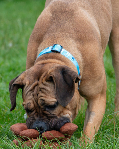 Ancol Heritage Peter Pine Cone Dog Toy