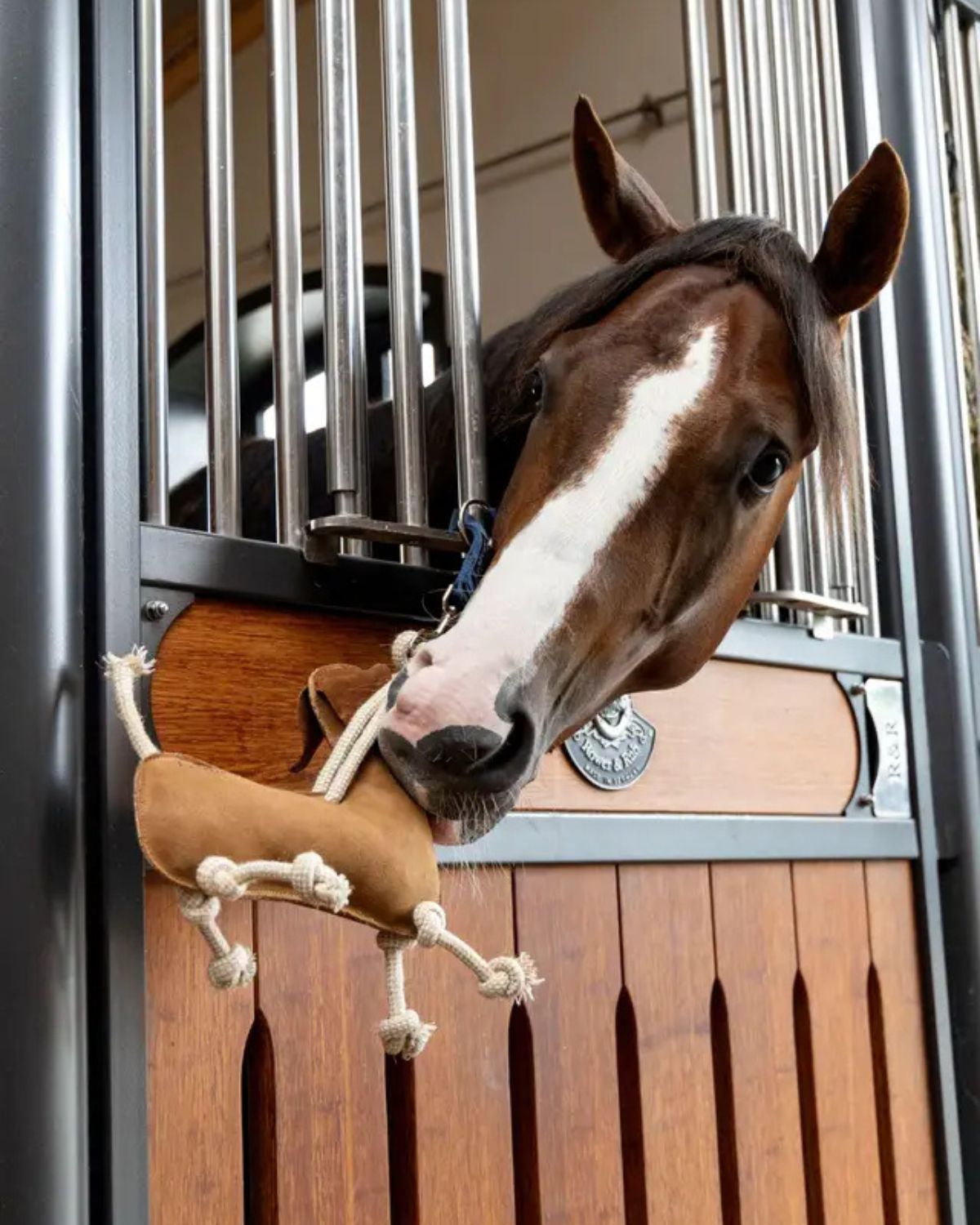 LeMieux Horse Toy Sausage Dog