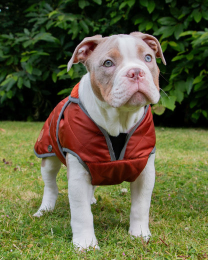 Ancol Heritage Quilted Dog Coat Terracotta