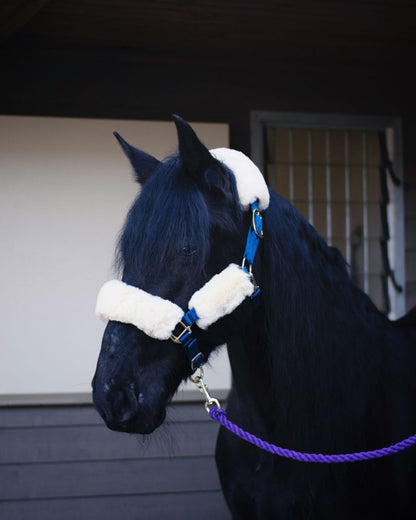 Black Horse with Merino Sheepskin Headstall - Equiflair, Natural Comfort and Style