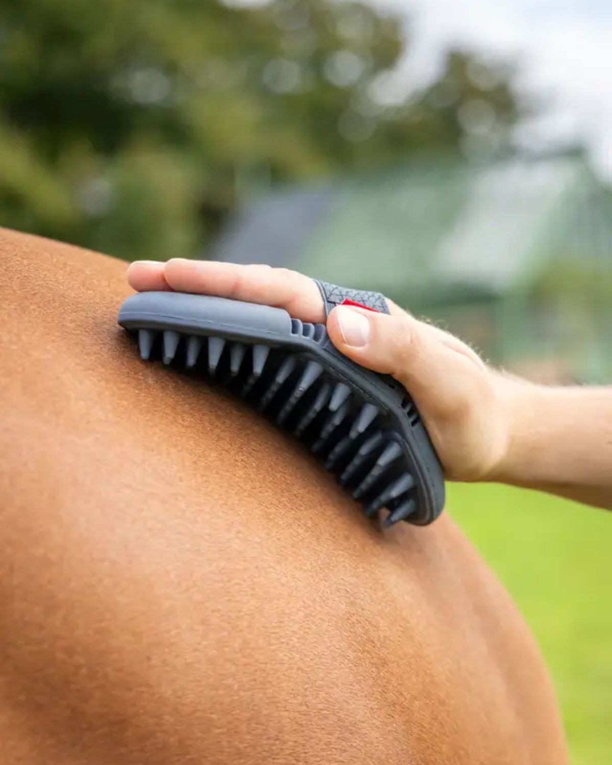 LeMieux Flexi Massage Brush Petrol: Horse Grooming & Circulation Aid. Deep Clean with Rubber Nodules!