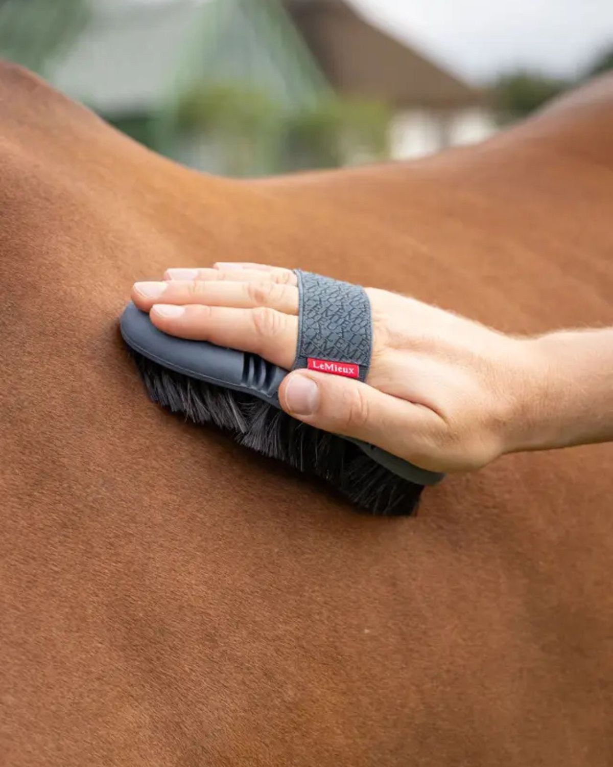 LeMieux Flexi Horse Hair Body Brush - Petrol Color - Grooming Tool