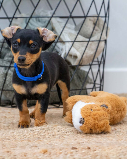 Ancol Heritage Walter Weasel Midi Dog Toy