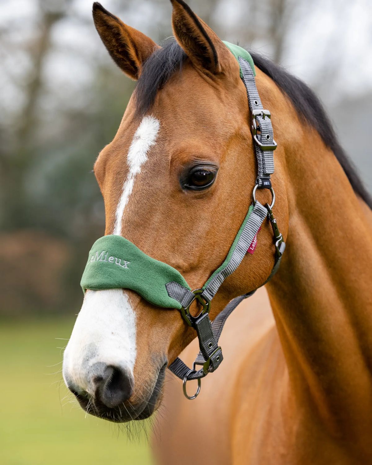 LeMieux Vogue Headcollar & Leadrope Hunter Green