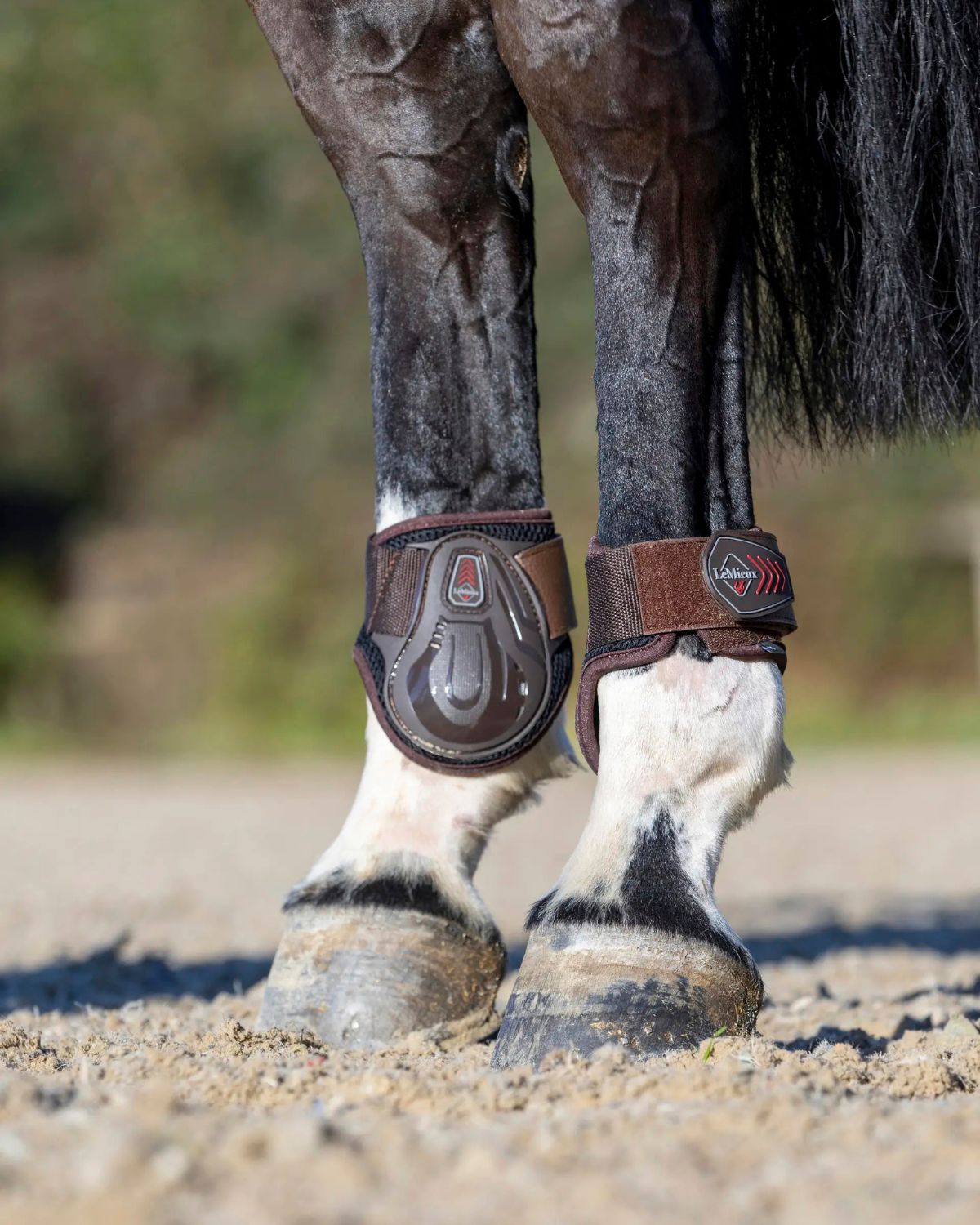 LeMieux Derby ProJump Fetlock Boot Brown