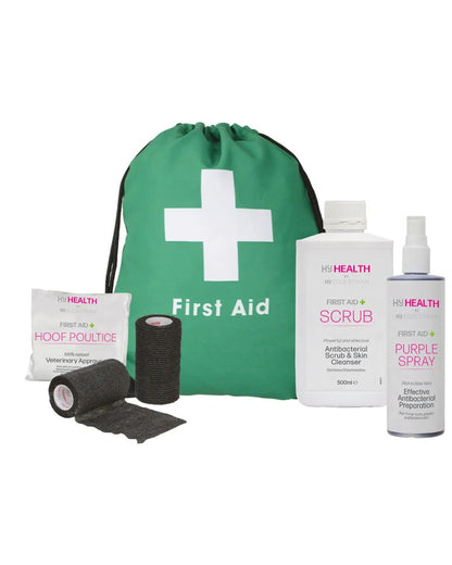 Hy Equestrian Equine First Aid Starter Kit