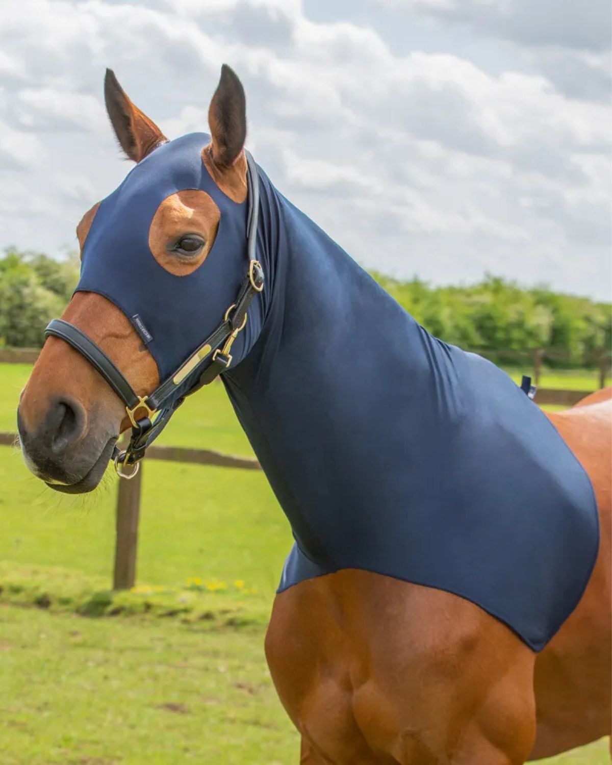 Hy Equestrian Lycra Flex Horse Hood: Protects from Rug Rubs & Keeps Mane Neat. Comfortable fit, large eye & ear holes.