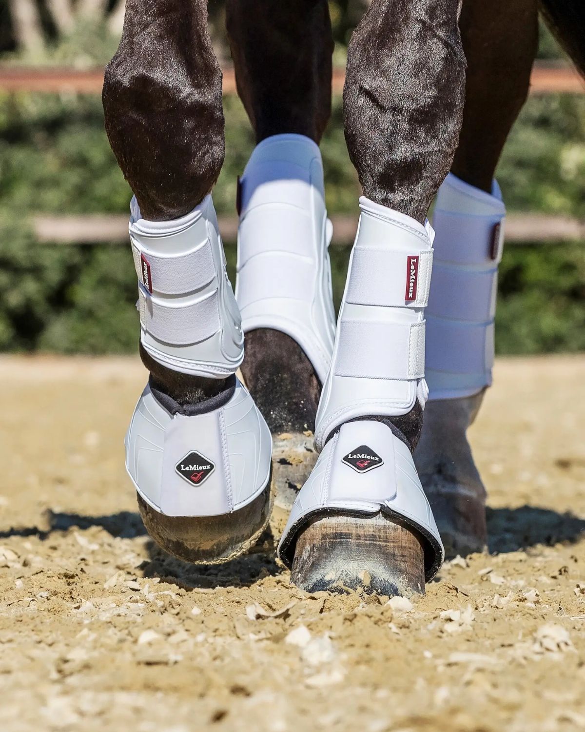 LeMieux ProShell Over Reach Boots White